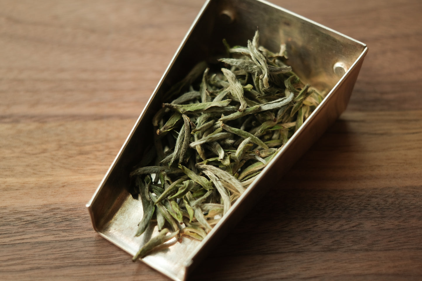 Baihao Yinzhen Wuyangshan 2024