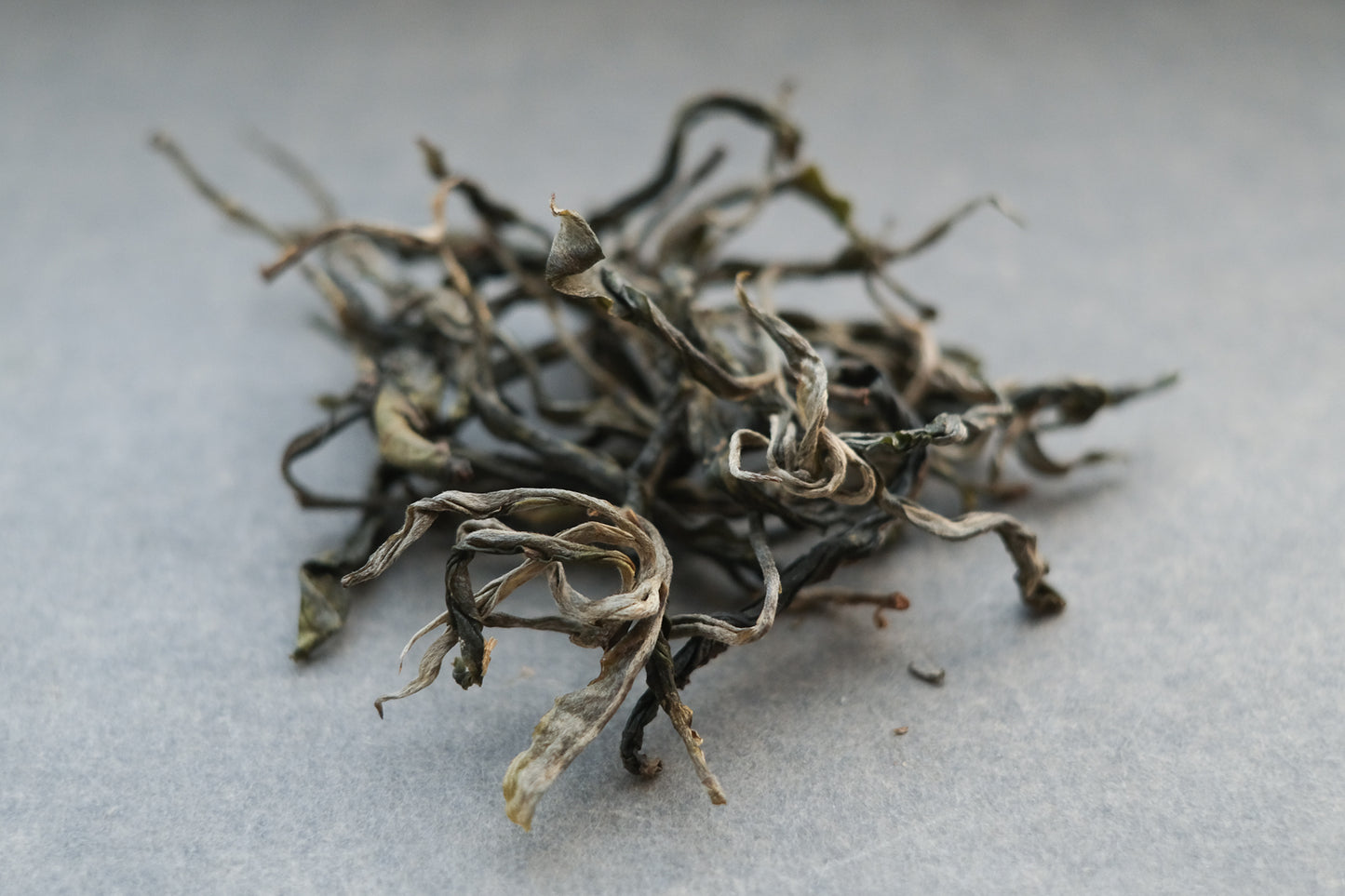 2023 Spring Loose Sheng Pu'er Survey