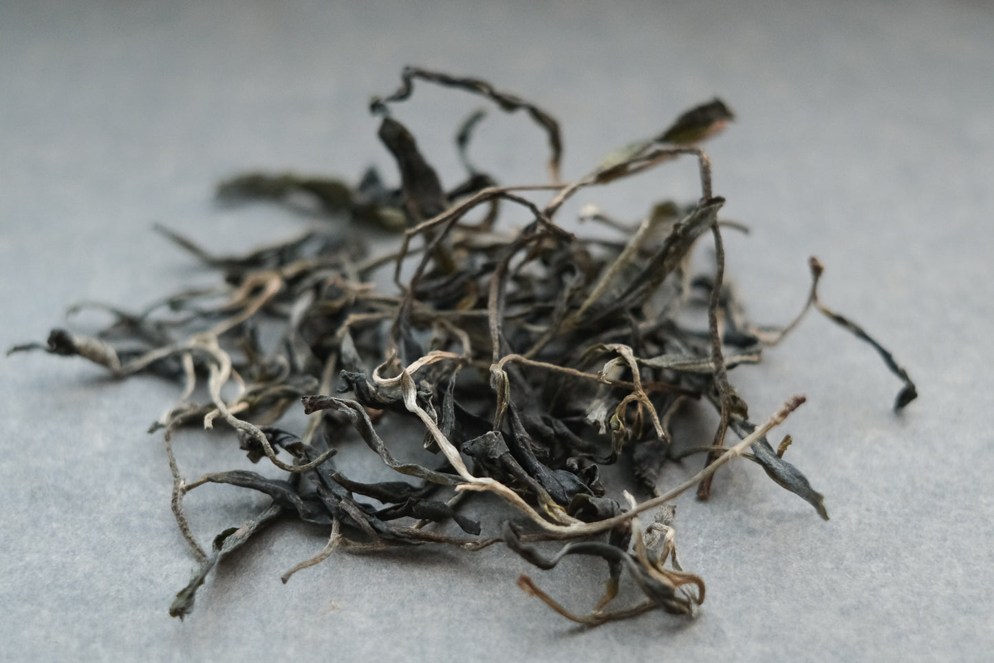 2023 Spring Loose Sheng Pu'er Survey