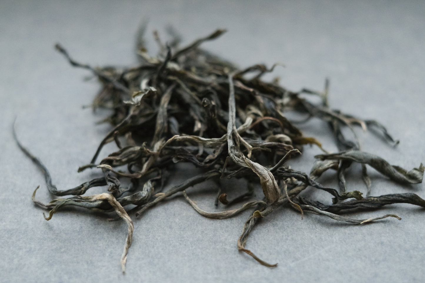 2023 Spring Loose Sheng Pu'er Survey