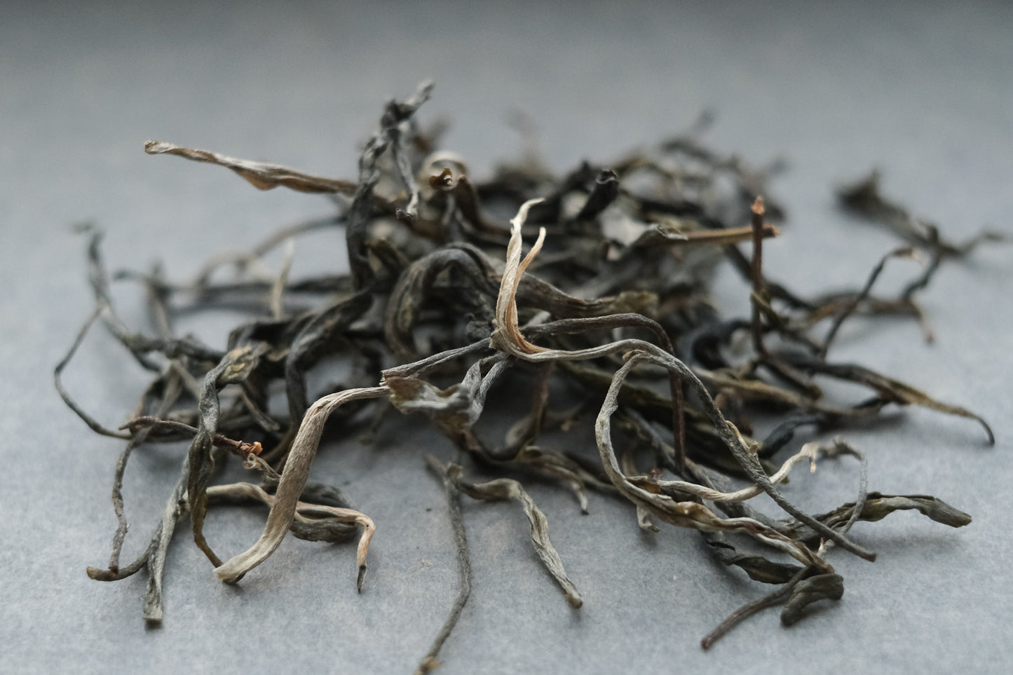 2023 Spring Loose Sheng Pu'er Survey