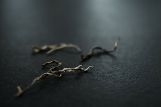 2023 Spring Loose Sheng Pu'er Survey