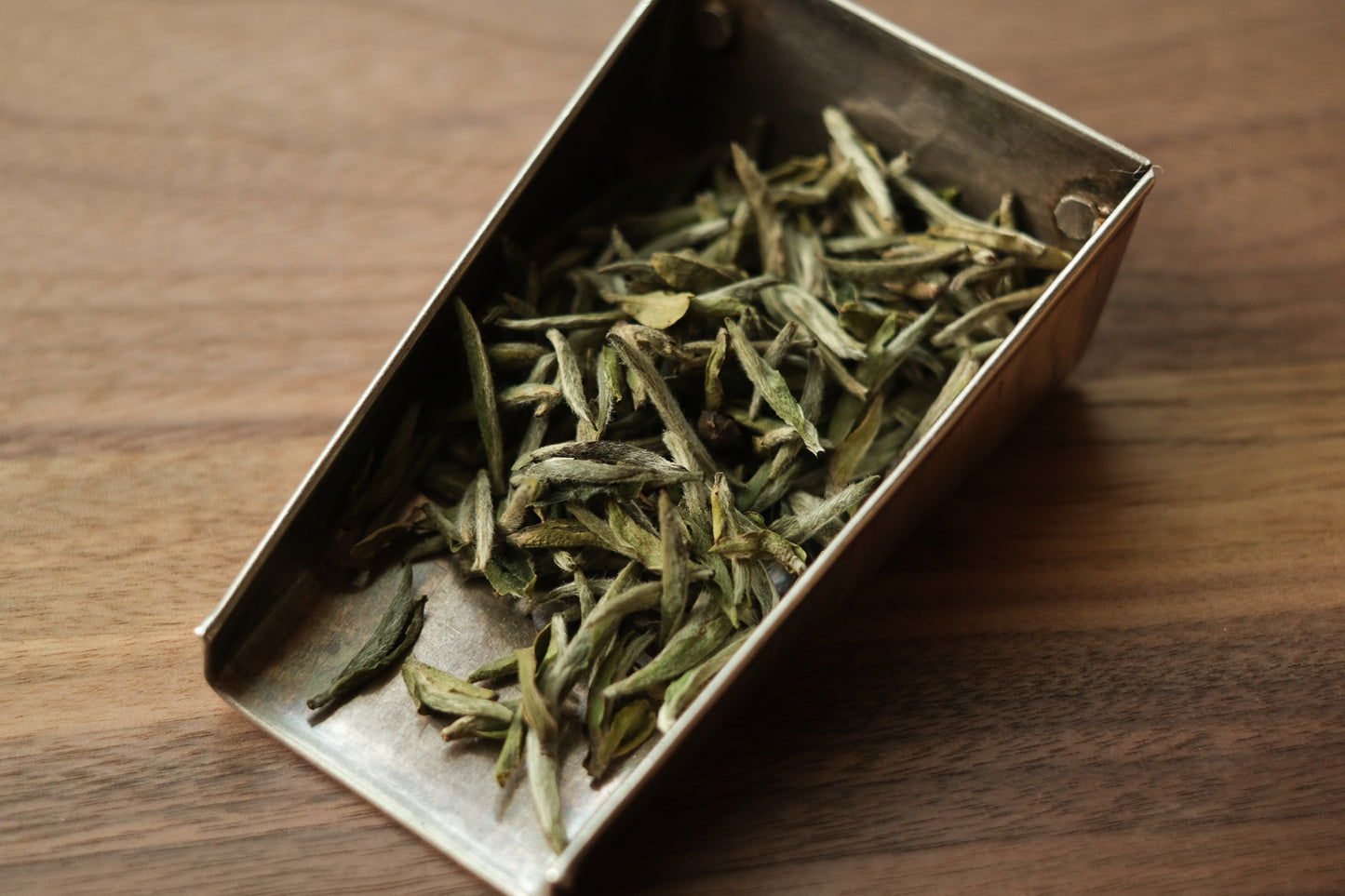 Baihao Yinzhen Wuyangshan 2023 (重焙)