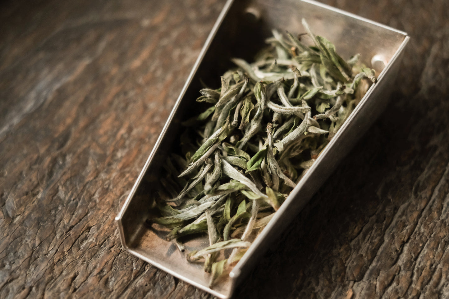 Baihao Yinzhen Chaitoushan Huangye 2023